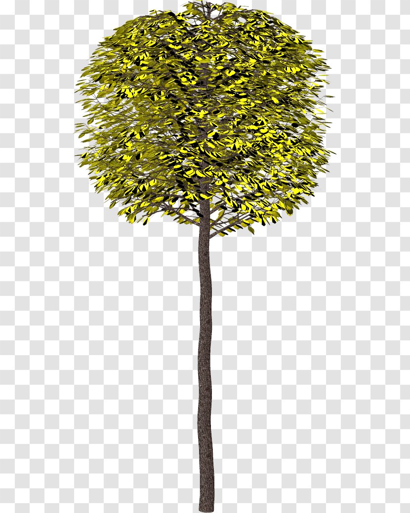 Tree Branch Shrub Clip Art - Flowerpot Transparent PNG