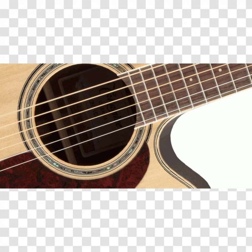 Acoustic Guitar Musical Instruments Acoustic-electric - Tree - Fender Corporation Transparent PNG
