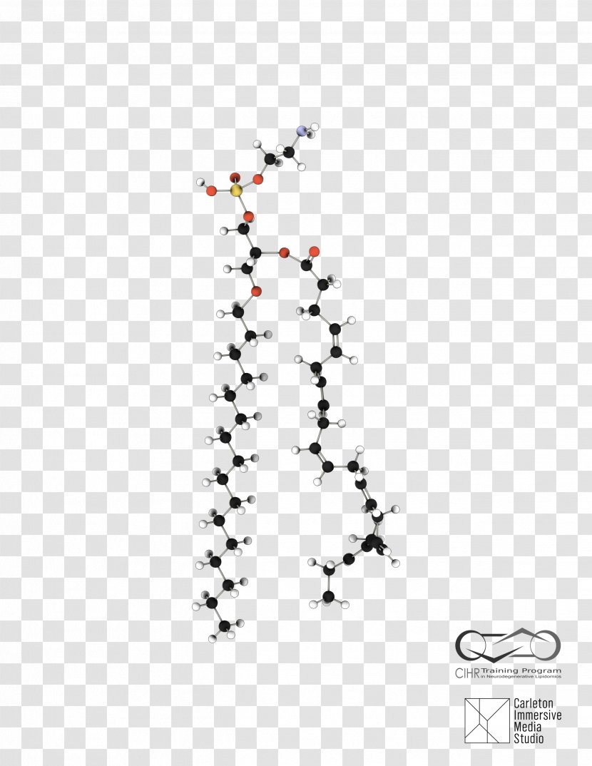 University Of Ottawa Design Art Bird Glycerophospholipid - Cocaine Molecule Ball And Stick Transparent PNG
