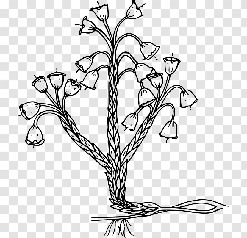 Design - Organism - Flower Transparent PNG