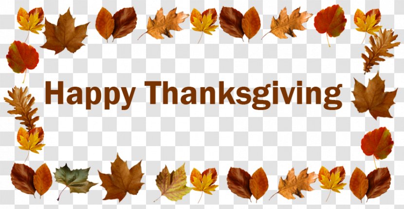 Thanksgiving Chicago Bears Happiness Clip Art Wish - Greetings Transparent PNG