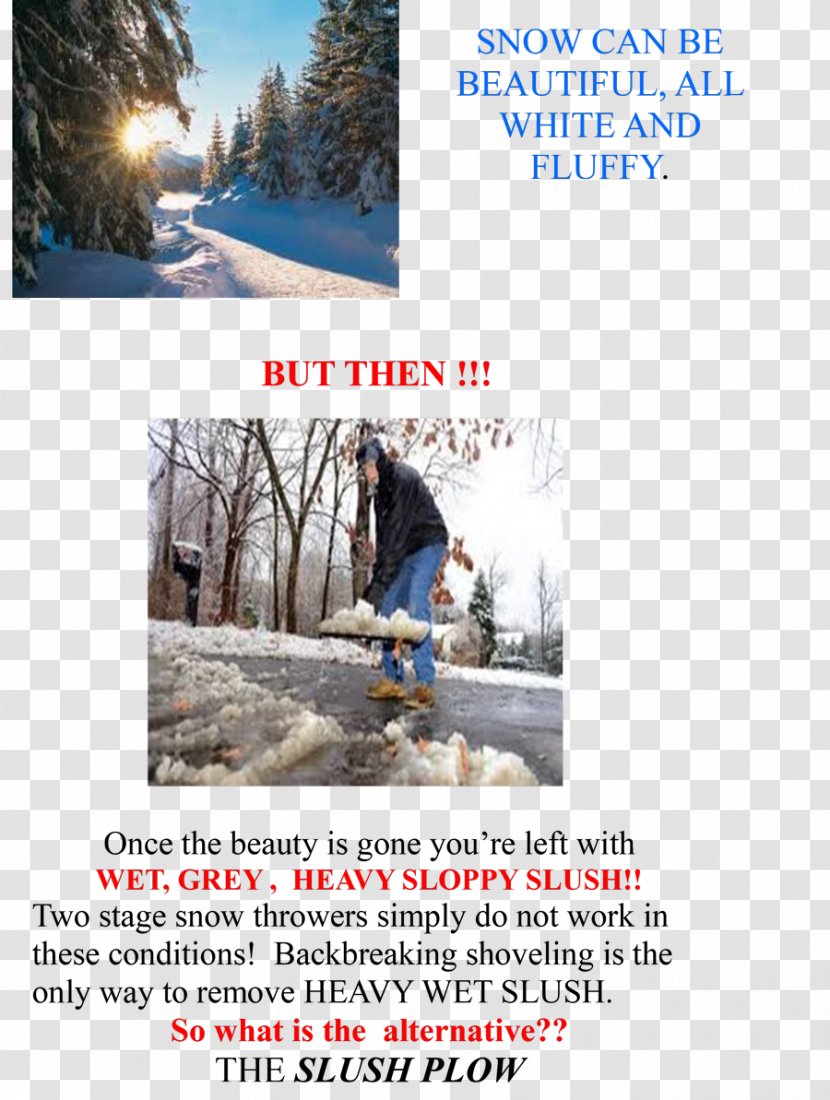 Advertising Tree Winter Ski Sporting Goods - Equipment Transparent PNG