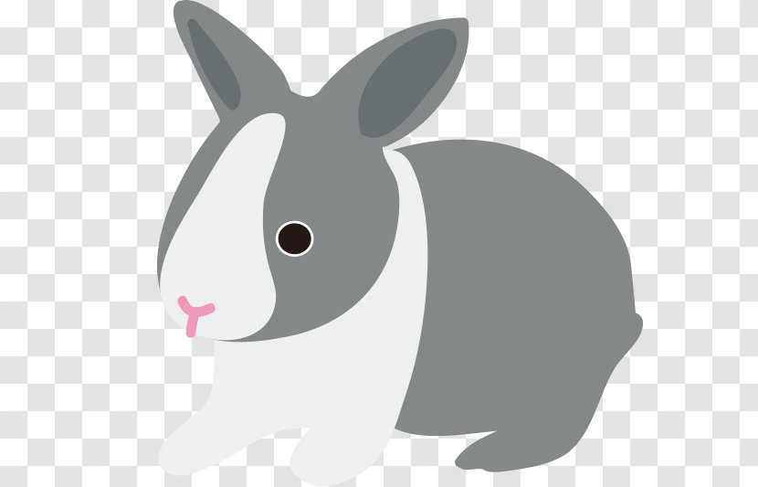 Domestic Rabbit Hare Whiskers Cartoon Snout Transparent PNG