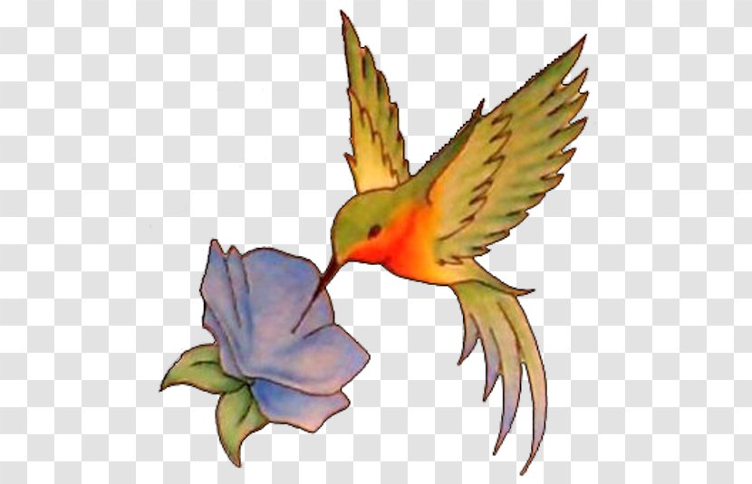 Hummingbird Tattoo Flash - Idea Transparent PNG