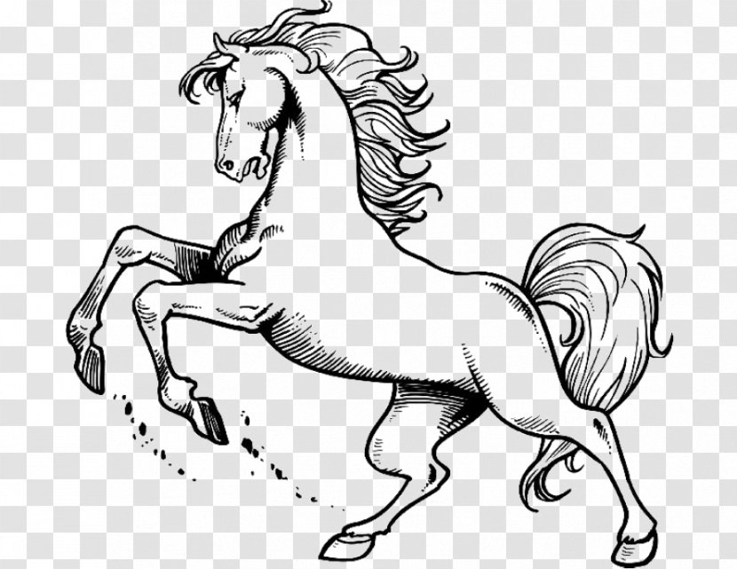 Mane Mustang Stallion Colt Bridle - Horse Transparent PNG