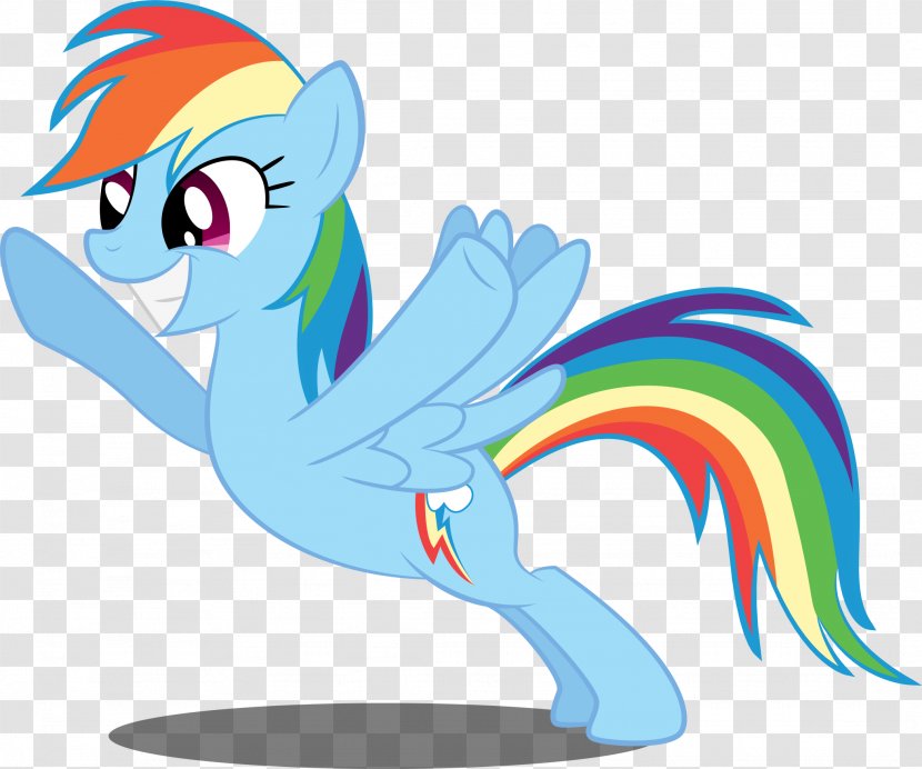 Rainbow Dash My Little Pony - Organism Transparent PNG