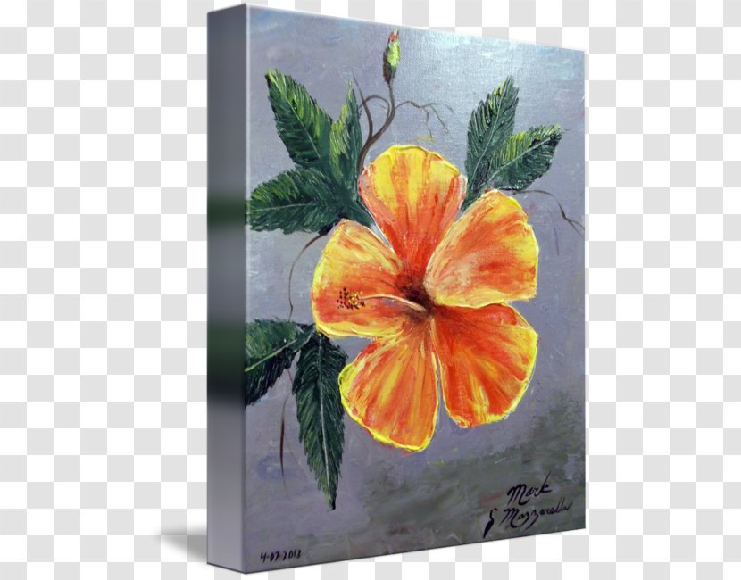 Rosemallows Watercolor Painting Yellow - Greeting Note Cards - Hibiscus Transparent PNG