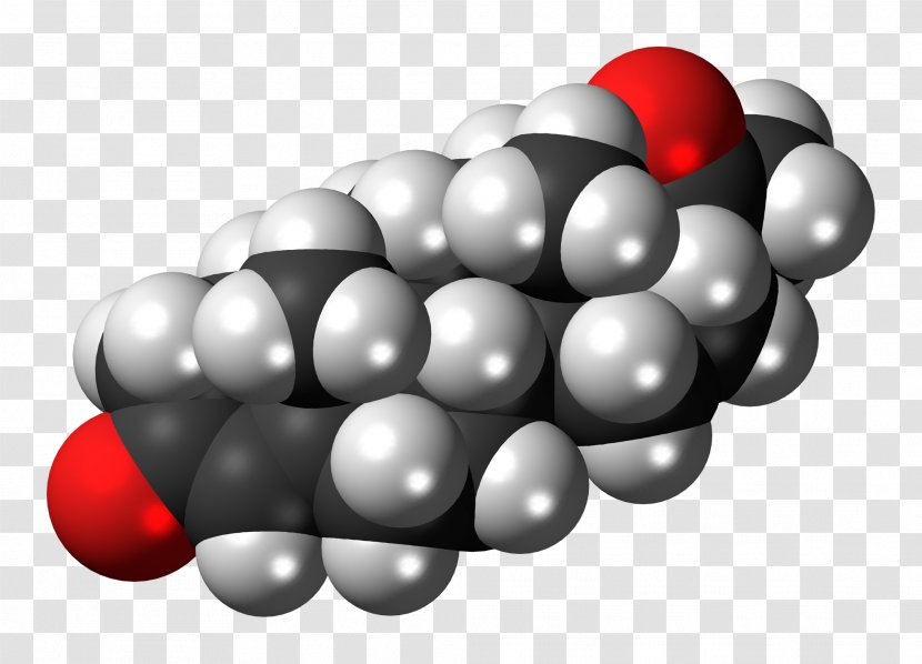 Estradiol Estrogen Space-filling Model Steroid Progesterone - Hormone - Molecule Transparent PNG