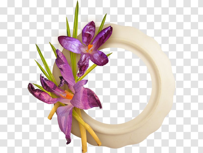 Flower Purple Violet Plant Flowering - Cut Flowers Iris Transparent PNG