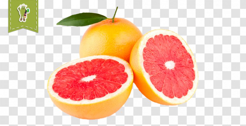 Mayorazgo Export S.L. Grapefruit Nutrition Food - Rangpur - Mango Pulp Transparent PNG