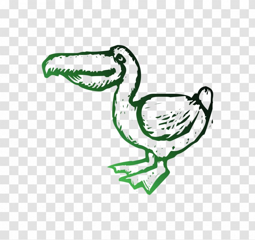 Ducks, Geese And Swans T-shirt Cygnini Clip Art - Pelecaniformes - Water Bird Transparent PNG