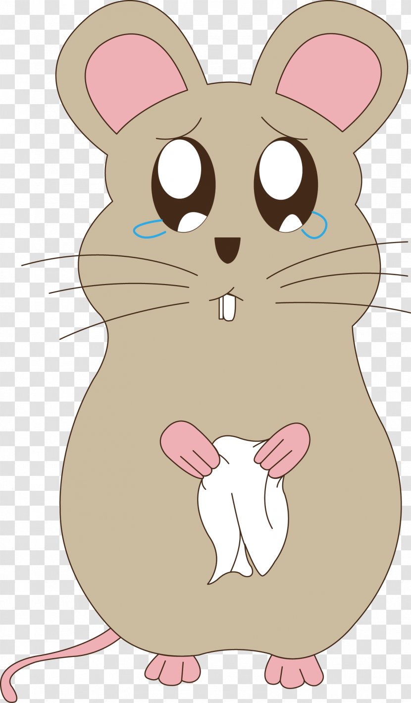 Rat Whiskers Sadness - Heart Transparent PNG