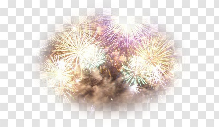 Fireworks Desktop Wallpaper Fond Blanc Image - Photography Transparent PNG