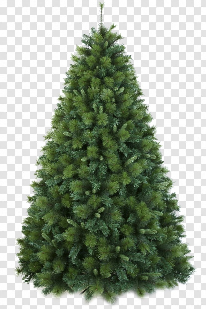 Artificial Christmas Tree Douglas Fir - Spruce Transparent PNG