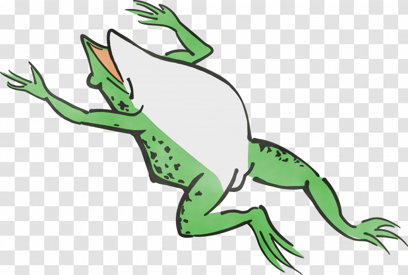 Line Art Toad Frogs Tree Frog Tail Transparent PNG