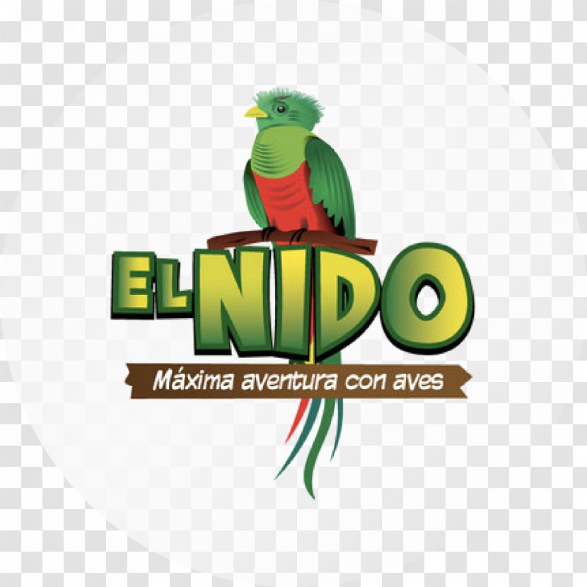 El Nido Logo Macaw Aviary Brand - Fauna Transparent PNG