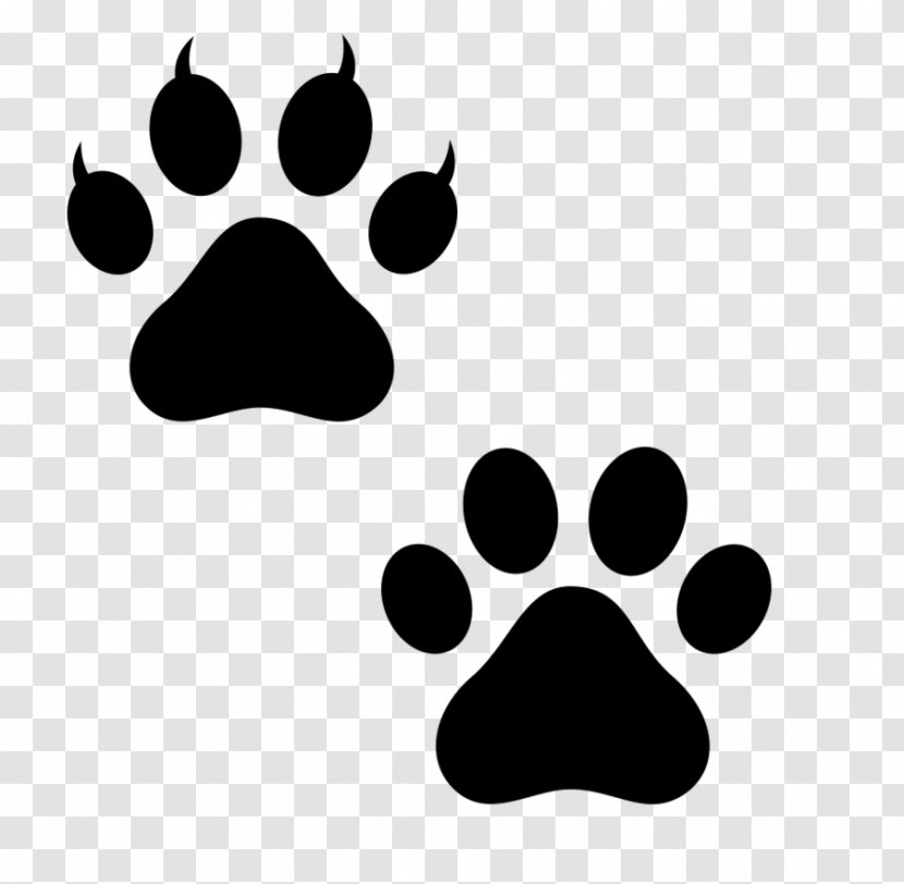 Dog Paw Bear Polydactyl Cat Puppy - Printing Transparent PNG