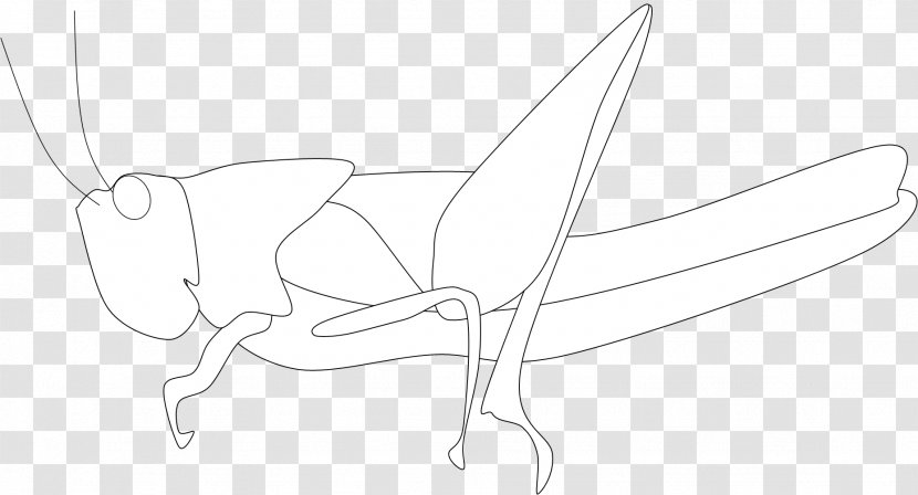 Line Art Sketch - Cartoon - Lazy Grasshopper Transparent PNG