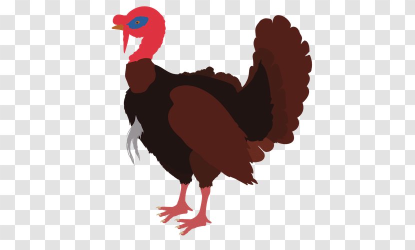 Black Turkey Royalty-free - Sales - Domesticated Transparent PNG