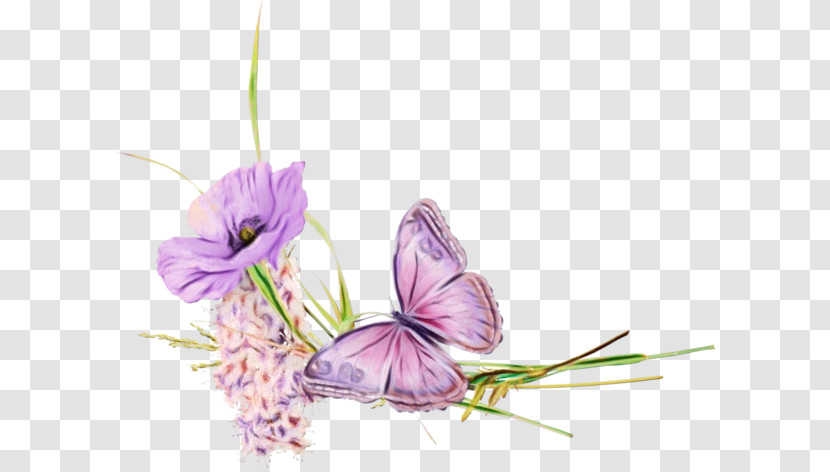 Lavender Transparent PNG