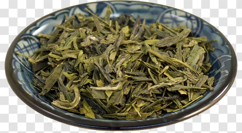 Masala Chai Nilgiri Tea Oolong White Hōjicha - Plant - Longjing Transparent PNG