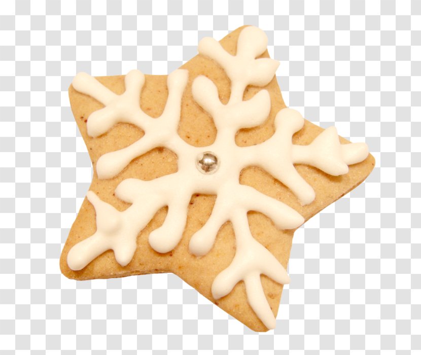 Frosting & Icing Cupcake Christmas Cookie Cutter Biscuits - Lebkuchen - Biscuit Transparent PNG