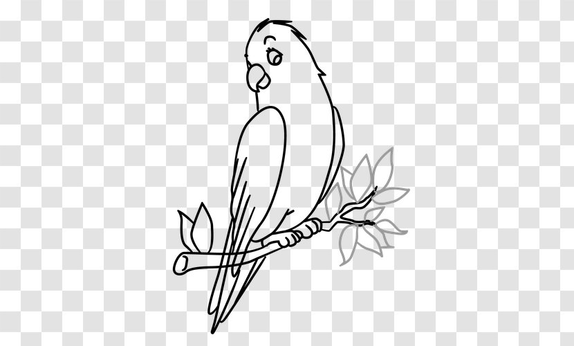 Bird Drawing Tree Art Sketch - Plant - Color Paperrplanes Transparent PNG