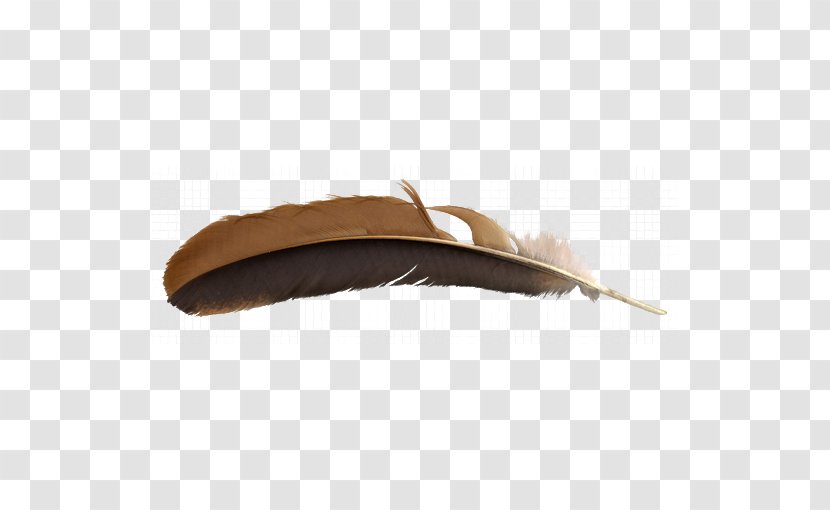Feather Brown - Resource - Feathers Transparent PNG