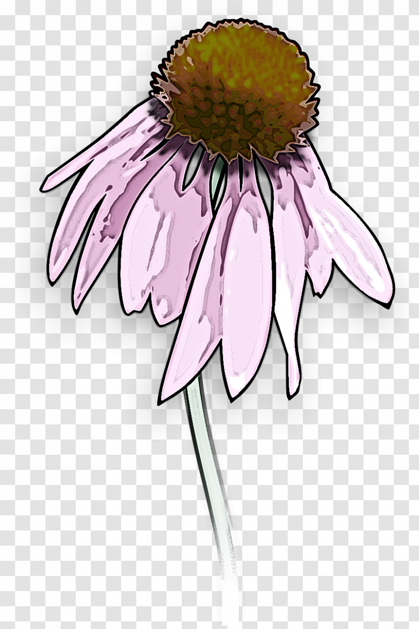 Daisy Transparent PNG