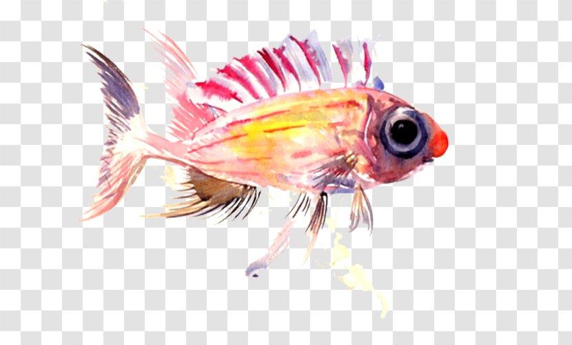 Pink Fish - Wing - Little Transparent PNG