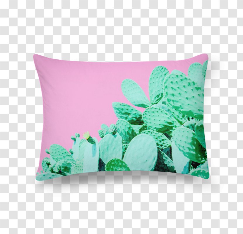 Cactaceae Cactus Garden Throw Pillows Plant Desert - Stationery Transparent PNG