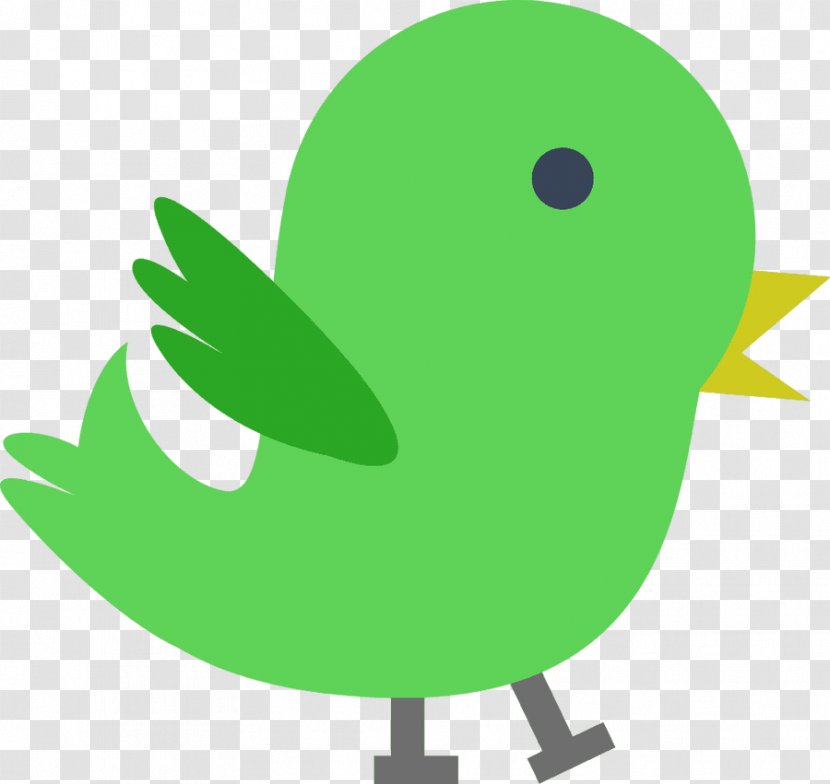 Bird Green Clip Art - Beak - Transparent Cliparts Transparent PNG