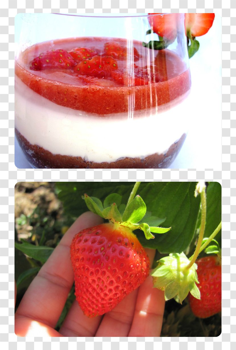 Cheesecake Panna Cotta Strawberry Sugar Confectionery - Dessert - Cheese Cake Transparent PNG