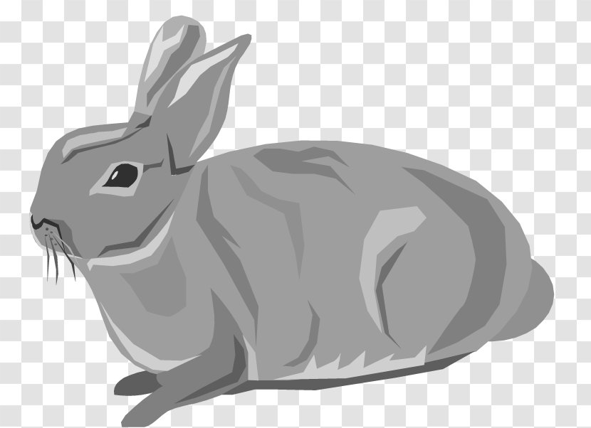 Easter Bunny Snowshoe Hare Domestic Rabbit Clip Art - Free Content - Gray Cliparts Transparent PNG
