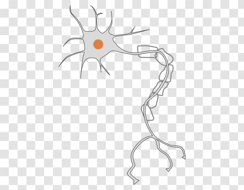 Neuron Nervous System Axon Clip Art - Tree - Cartoon Transparent PNG