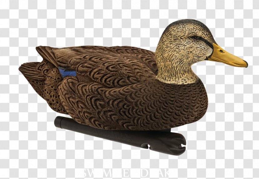 Duck Decoy Mallard Atlantic Flyway - Waterfowl Transparent PNG