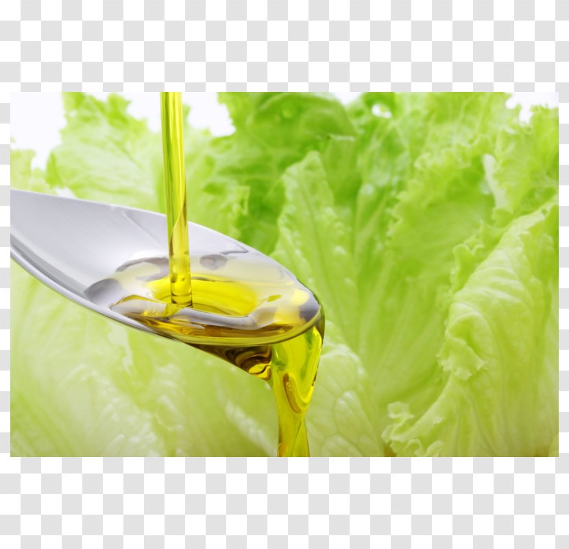 Oil Lettuce Food Health Salad - Walnut Transparent PNG