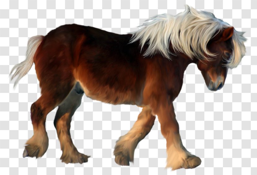 Shetland Pony American Miniature Horse Twilight Sparkle Clip Art - Animal Figure - Snout Transparent PNG