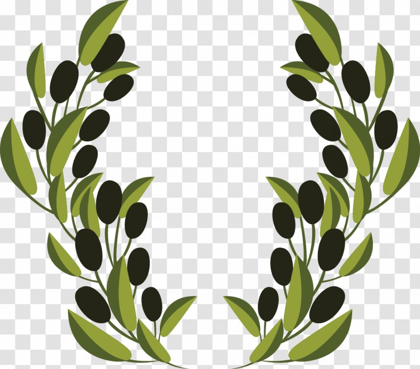 Olive Branch Clip Art - Vector Decoration Transparent PNG
