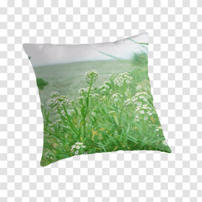 Throw Pillows Cushion Plant - Greenery Transparent PNG