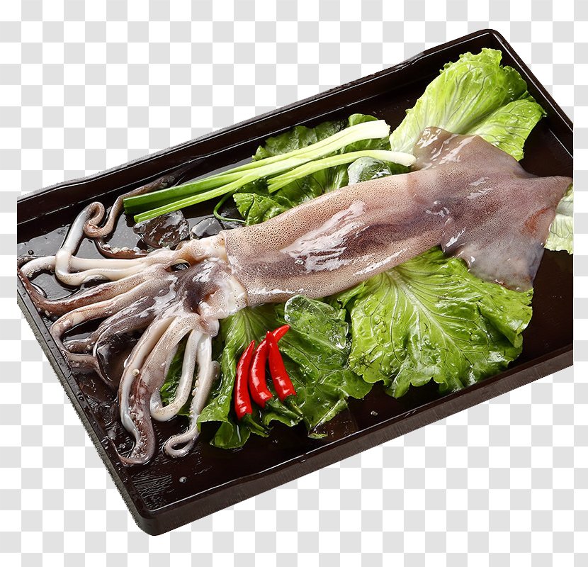 Argentina Squid Download - Animal Source Foods - Ocean Family Argentine Transparent PNG