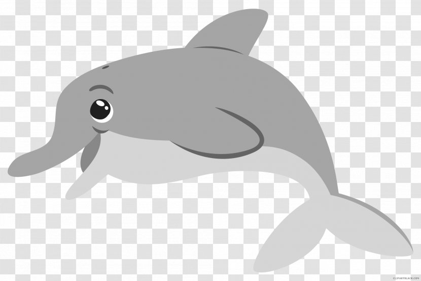 Common Bottlenose Dolphin Clip Art Illustration Tucuxi - Fauna Transparent PNG