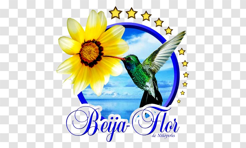 Beija-Flor Logo Symbol - Hummingbird - Flowering Plant Transparent PNG