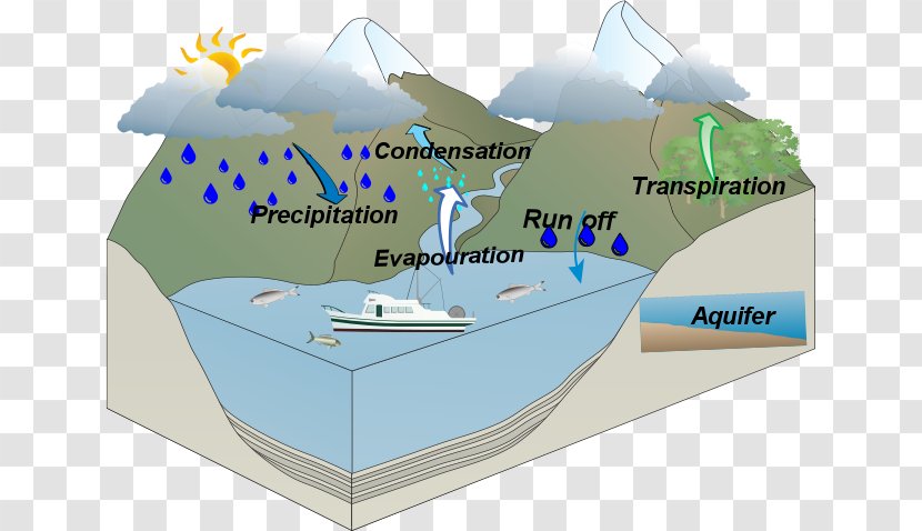 Water Cycle Resources Image Lyneham High School - Silhouette - Wetland Community Diagram Transparent PNG