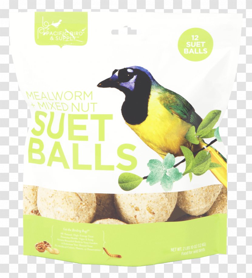 Bird Suet Cake Advertising Beak Transparent PNG