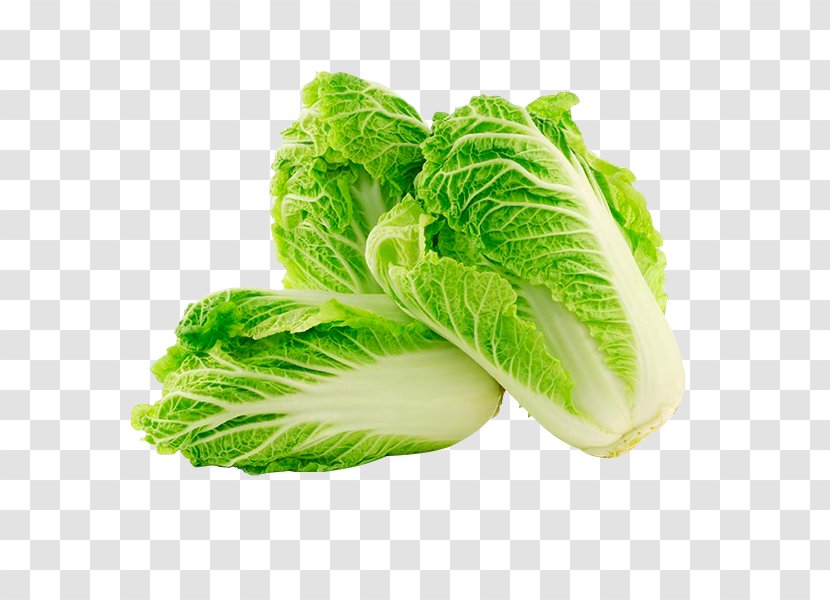 Chinese Cuisine Napa Cabbage Vegetable - Brassica Rapa Transparent PNG
