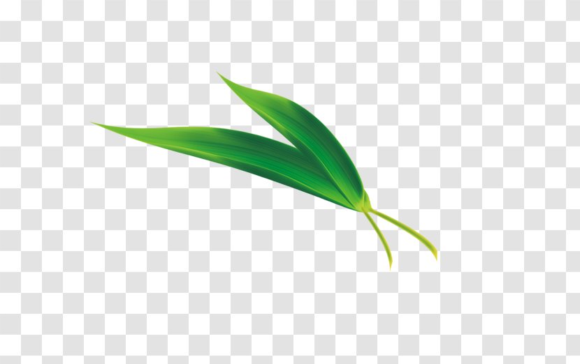 Zongzi Dragon Boat Festival Leaf Bamboo - Picture Of High-definition Fallen Leaves Transparent PNG