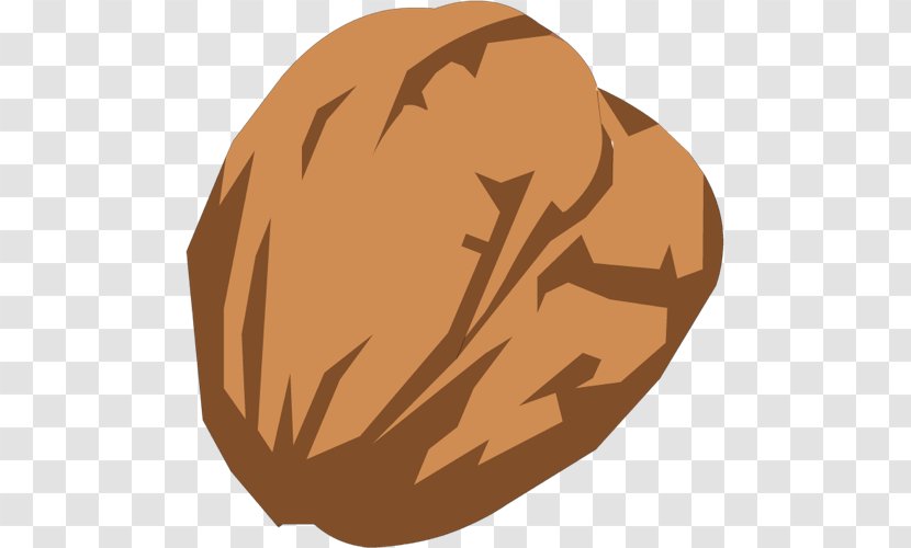 Walnut Nucule - Gimp Transparent PNG