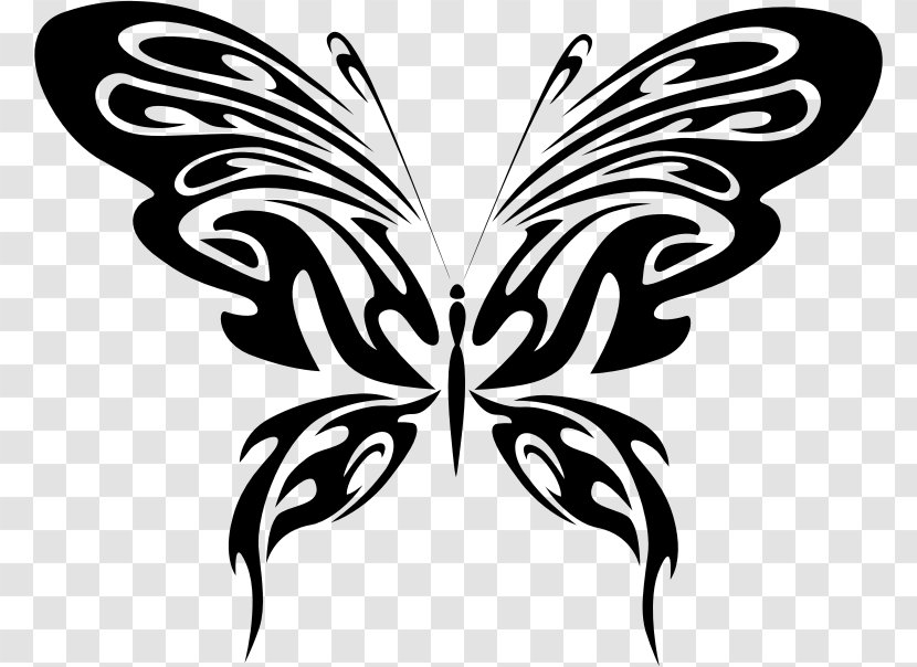 Butterfly Line Art Clip - Drawing Transparent PNG