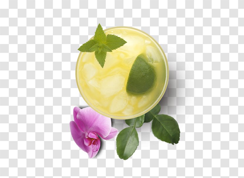 Garnish Flavor Orchidea - Guava Juice Transparent PNG